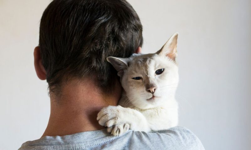 Man holding a white and gray cat over his shoulder, with the cat resting its paws on his back and looking toward the camera.