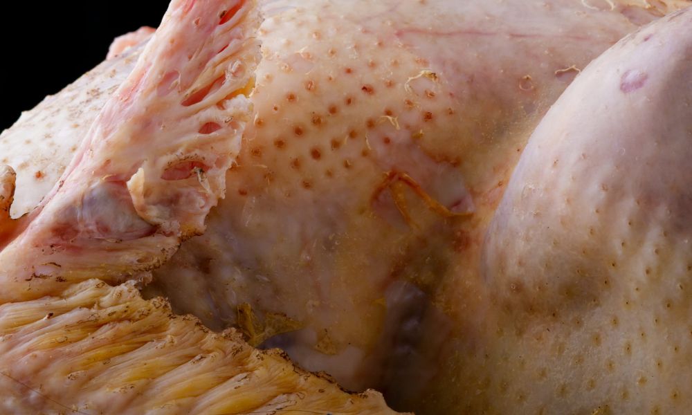 Turkey Skin
